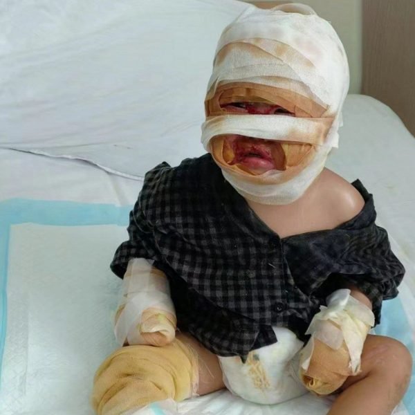 photo_2025-08-19_10-06-31